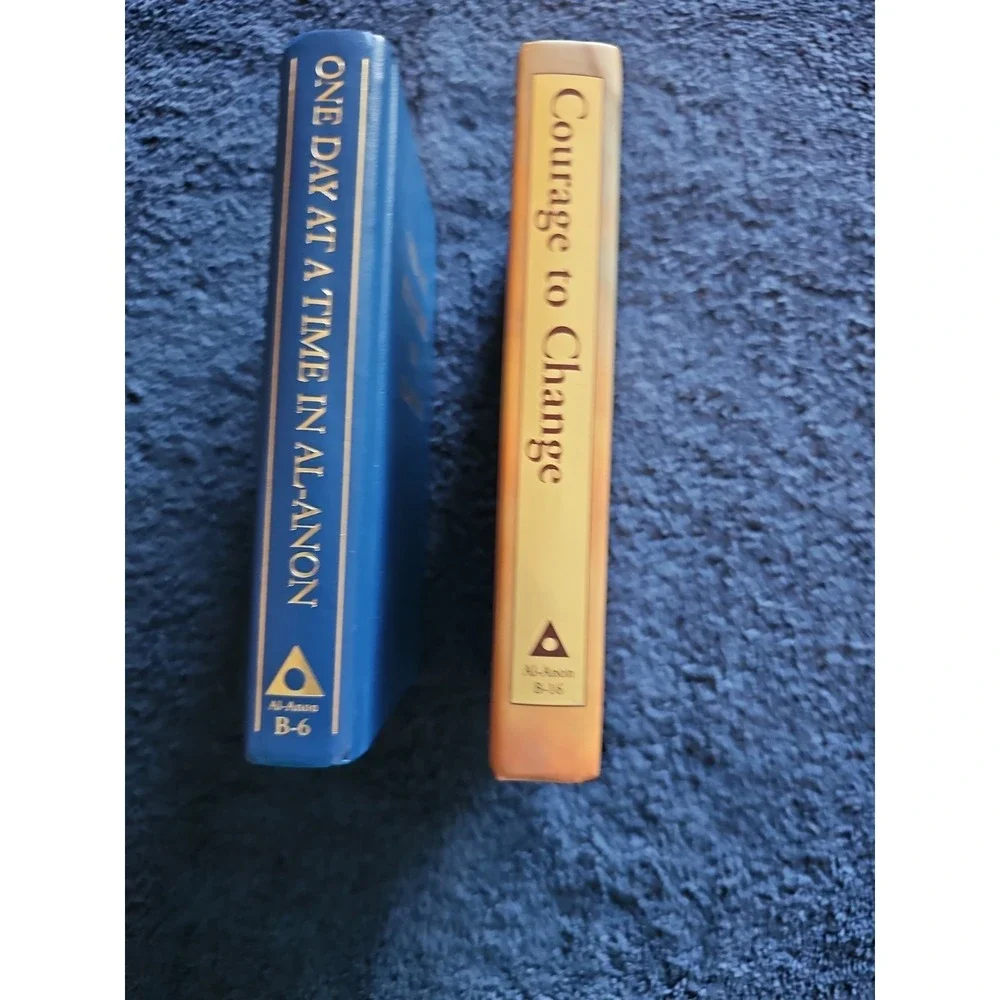 Al-Anon Daily Readers Lot One Day at a Time & Courage to Change Recovery Books